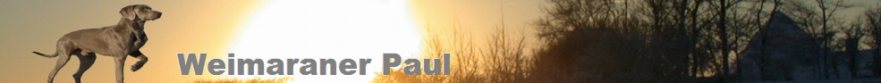 ber Paul und mich - weimaraner-paul.de